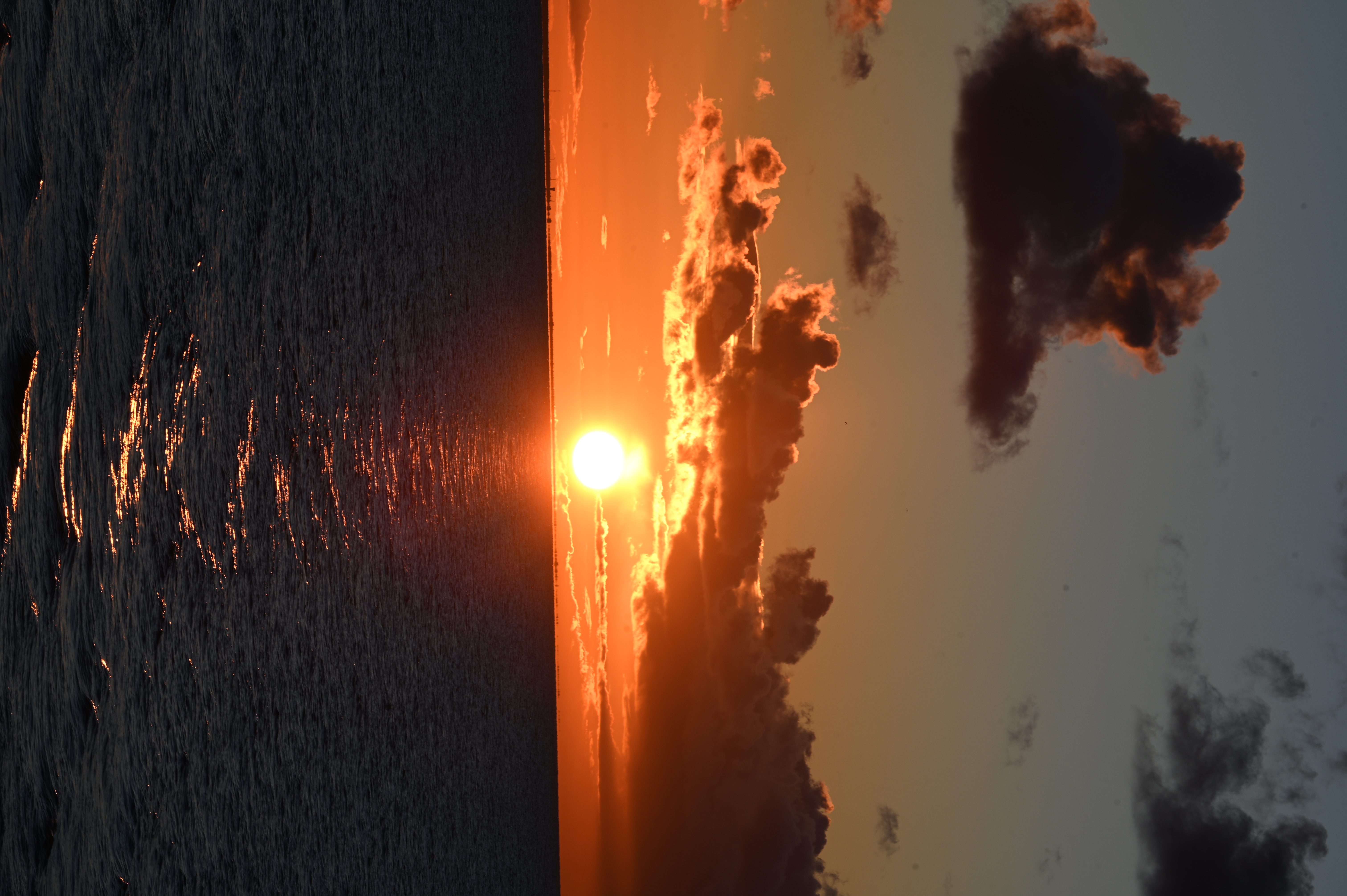 2025/10/18 - walk/DSC_0446.JPG